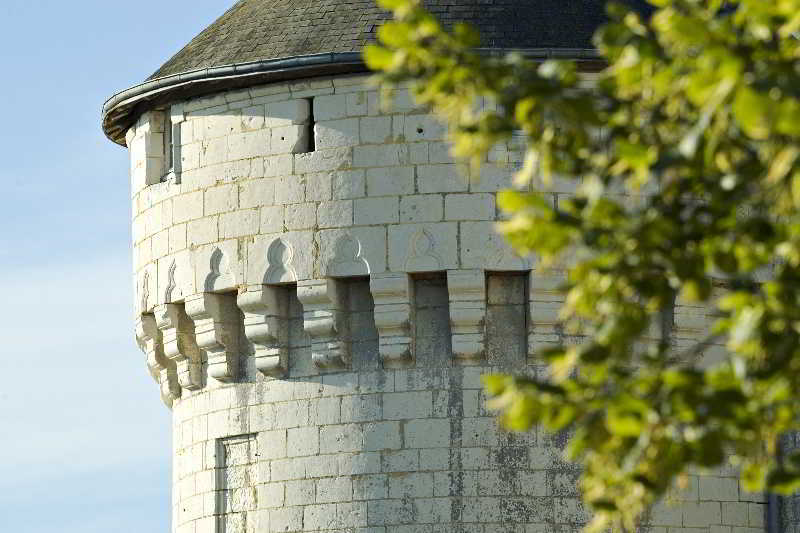 Chateau De Marcay Exterior foto